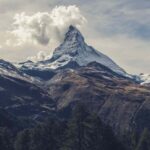 Profile photo of dapoyen494